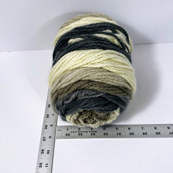 Caron Chunky Cakes Rice Pudding Yarn 17024 9 Oz Skein - Picture 5 of 5